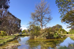 Landscaped Gardens