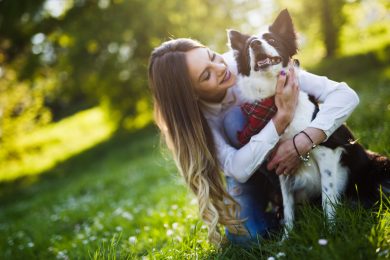 pet friendly accommodation in armidale